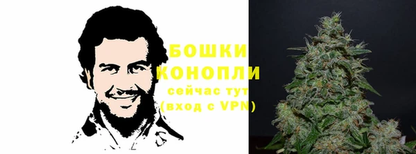 молекула духа Магас