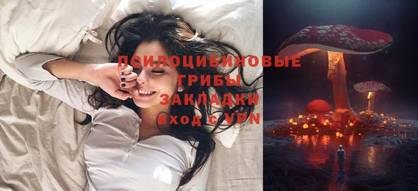 молекула духа Магас
