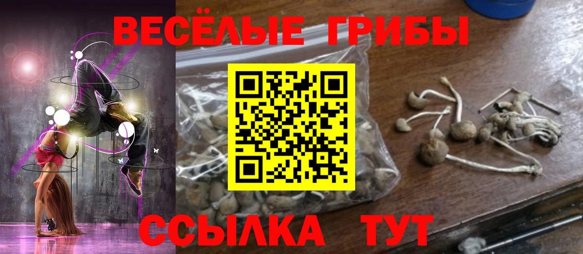 Белгород  Псилоцибиновые грибы Psilocybe  как найти наркотики  Вход с VPN  Псилоцибиновые грибы мицелий 