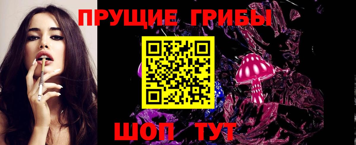 Псилоцибиновые грибы мицелий  Белгород  где купить   Галлюциногенные грибы Psilocybe 